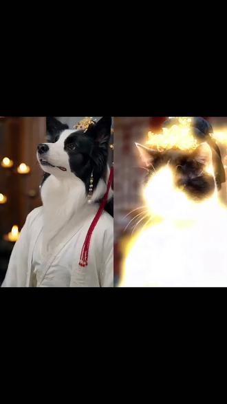 大家都在问的ai古风郡主冲突短剧制作教程来了~AI宠物宫斗短剧制作入口~#ai古风郡主冲突短剧 #AI宠物宫斗短剧 #古风郡主冲突特效 #古风郡主冲突短剧猫咪 #剪映 别让猫咪拍这些 林莲被打 古风郡主冲突短剧猫咪 宠物猫养护知识 灵莲角色介绍 宠物猫视频 灵莲剧情介绍 猫咪打架行为 古风郡主短剧 ai古风郡主冲突短剧 ai短剧制作 宠物短剧推荐 宠物狗剧情 宠物古风短剧 AI古风郡主剧情 ai小猫咪视频 AI宠物宫斗短剧 古风郡主冲突特效 猫狗宫斗剧