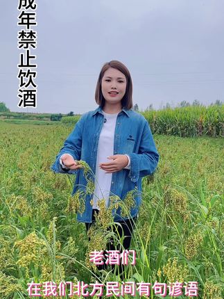 黍米黄酒,非遗传承古法酿造,杏花村历史美酒#黄酒 #舌尖上的美食 #真材实料才能做出好味道 #尽善堡黄酒
