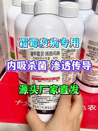 #病虫害防治 #农业种植 #服务三农支持三农 #精甲霜灵烯酰吗啉 #烯酰吗啉