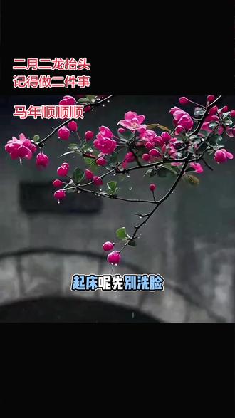 二月二,龙抬头,早上起来做好两件事,马年顺顺顺#二月二龙抬头 #民俗文化#春分