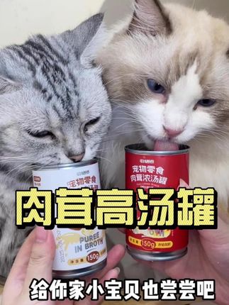 猫咪大多都是小鸟胃,这种肉茸浓汤罐就刚刚好#新手养猫 #萌宠好物
