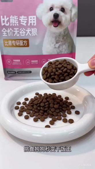 宠物狗 #豆包AI #宠物狗 #狗粮推荐 #狗粮