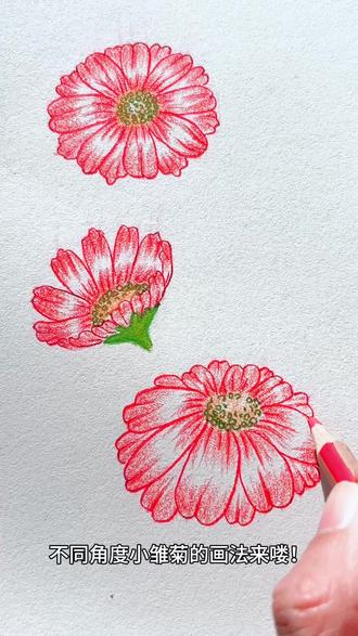 小雏菊的三种画法#彩铅画#绘画教程 #可擦彩铅#小雏菊简笔画#尼奥尼彩铅
