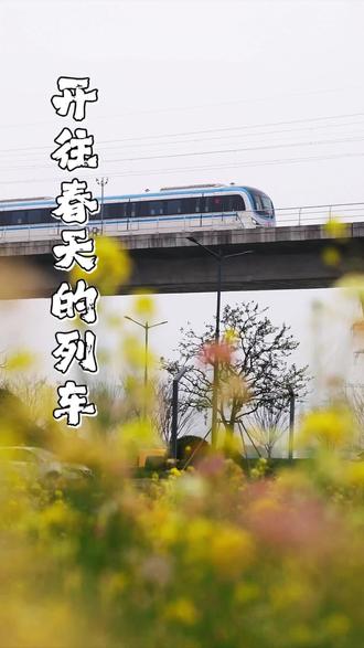 一列车,一顷花,心海天地醉春风。椒江限定浪漫,七彩花海与列车共舞!#台州#春日打卡#花海#列车#心海天地
