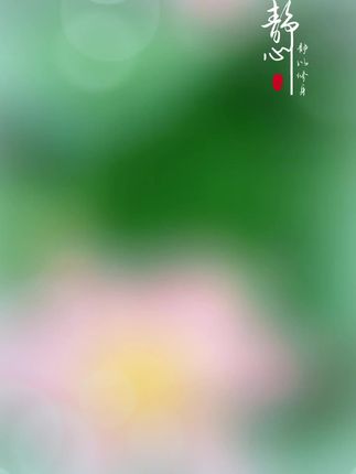 田田荷叶铺满塘,碧色如洗,卷舒自在。晨露滚过叶面,似碎玉流转;清风拂过,绿浪层层叠叠。边缘垂落的水珠,映着天光云影。不与花争艳,独守一份翠色冰心,自有脱俗清趣。#荷花 #愿众生平安吉祥 #夏日荷花 #和田玉