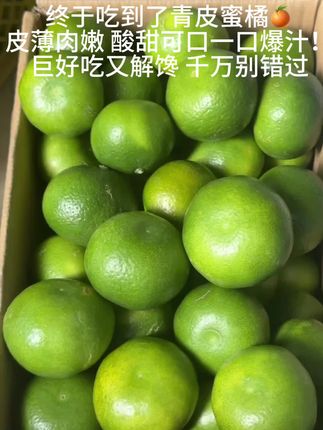 家人们!这筐青皮蜜橘我直接锁死!别看果皮青青的,扒开全是惊喜——果肉嫩得像果冻,爆汁程度绝了!酸甜比刚刚好,一点不涩口,吃着像在喝鲜榨橘汁~,皮薄肉嫩酸甜可口!我孕期就馋这一口!#青皮橘子 #橘子 #优质农产品 #口感特别好 #当季水果