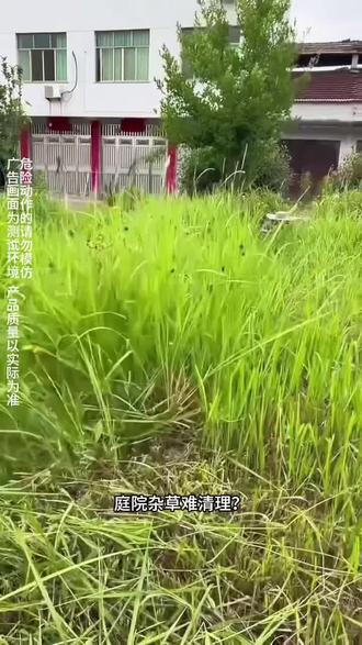 无线锂电割草机 庭院除草修剪草坪超便捷
#锂电割草机 #除草神器 #园林工具 #家用好物