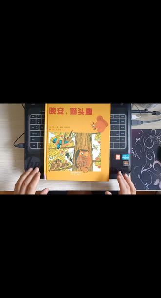 《晚安猫头鹰》