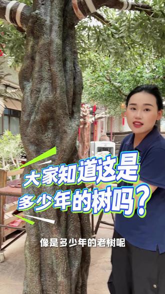 你们知道这是多少年的树吗?#仿真橄榄树 #仿真树 #定制仿真树 #绿植造景设计 #装饰好物推荐