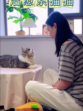 最怕看见毛孩子呕吐吐毛球,排毛真的要重视#萌宠出道计划 #养宠人的治愈谁懂啊 #治愈猫咪 #猫咪
