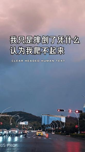 #人生感悟 我只是摔倒了,又不是摔死了,你凭什么认为我爬不起来。我只是带孩子暂时脱不开身而已