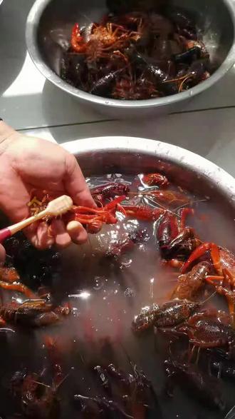今年第一香辣泡面小龙虾也是吃上了#现在炒制小龙虾🦞 #家常香辣小龙虾做法 #创作者中心 #创作灵感
