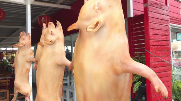 谁能拒绝这一口的快感!烤乳猪保姆级教程!视频结尾有配方!赶紧点赞收藏做起来!#新年开好局 #抖音美食创作者#厨房烹饪技巧#美食教程 #烤乳猪