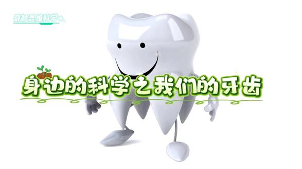 身边的科学之我们的牙齿#牙齿 #科学