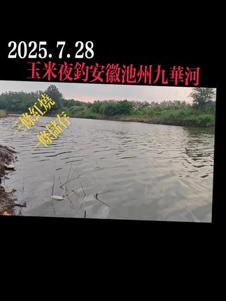 吃二餐……#户外钓鱼 #最美原生鱼 #日常分享 @抖音小助手
