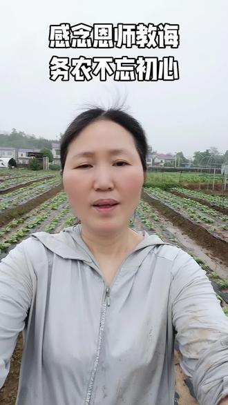 #热门 时隔三十五载,看到小学班主任冯老师的评语,满心激动与忐忑。老师六年的教导与陪伴,温暖了整个童年。务农半生,心怀拘谨,害怕辜负师恩。岁月流转,教诲铭记于心,砥砺前行。遥祝冯老师及天下师长:身体康健,平安顺遂!#绿色蔬菜#生态种植#职业新农人#乡村振兴@A新农人许多