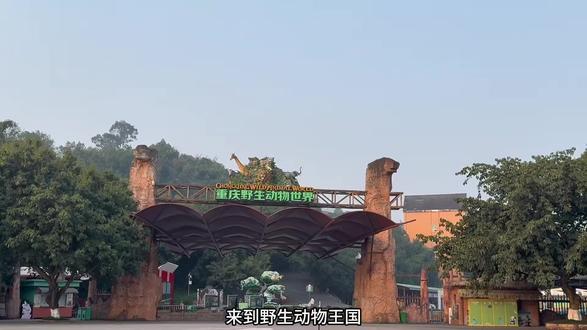 #小绿蛙研学
#野生动物王国奇遇
研学走进动物王国,一场与萌宠的双向奔赴
近距离感受自然与生命的奇妙,这才是童年该有的样子呀~🐒🐬🦓🐆🐅🦍🐏🦚🦜🦩