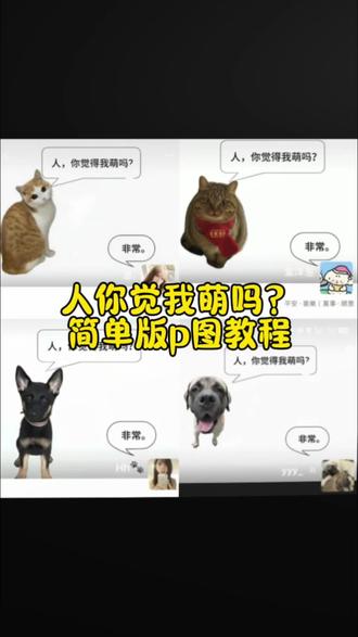 人,你觉得我萌吗?微信背景图制作教程#醒图 #醒图创作者 #人你觉得我萌吗 #背景图 #萌宠 萌宠背景图 人你觉得我萌吗背景图素材 朋友圈背景图 背景图制作 人你觉得我萌吗背景怎么p 人你觉得我萌吗背景制作教程 人你觉得我萌吗背景图教程