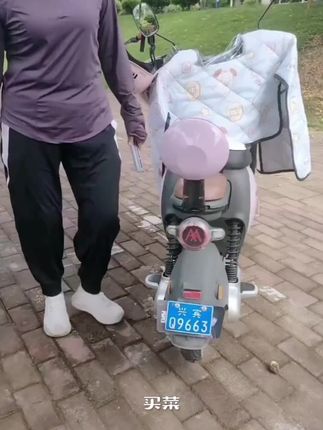 新国标电动车大号加厚后备箱通用爱玛台铃绿 源电瓶车后背尾箱#后备箱