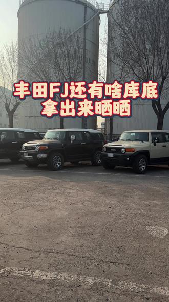 丰田FJ还有啥库底,拿出来晒晒#丰田fj #丰田FJ #酷路泽FJ #丰田酷路泽fj #沙漠小王子fj酷路泽