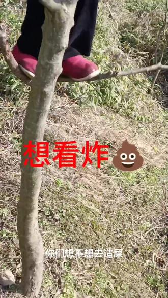 不好意思,这里不准玩生化攻击#过年氛围提前搞起来了 #火炮 #整蛊 #过年 #过年就要美美哒