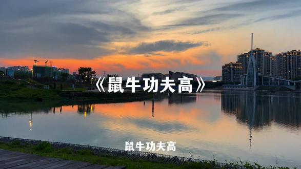 鼠牛虎兔童年回忆杀#鼠牛虎兔童年回忆杀#鼠牛功夫高#十二生肖闯江湖DJ版#音乐分享