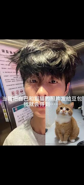 好有爱好喜欢,和猫咪相拥合照ai指令教程来啦! #豆包 #豆包ai #豆包P图已经nextlevel了 #和宠物合照#和宠物合照指令 和猫咪合照 和自家萌宠合照