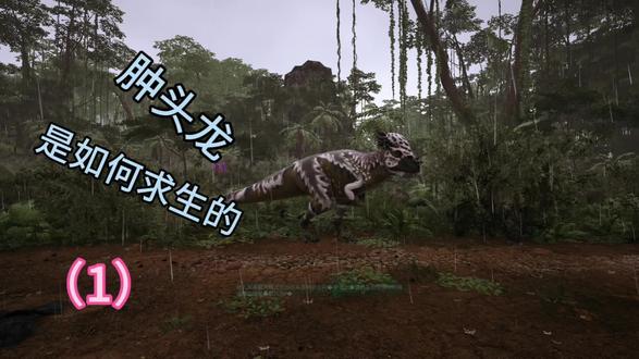 肿头龙在群岛的成长日记(1)