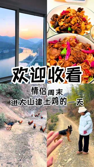 小鸡小鸡你莫怪 你是人间一道菜 #跑山鸡土鸡 #周末情侣 #土鸡炒粉条#2026新农人计划