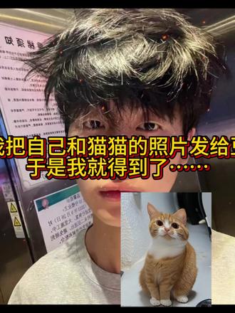 世间不能没有小猫咪,我和猫猫合拍ai指令教程来啦#狸花猫#萌宠#豆包ai#热门#拍照