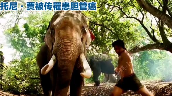 #电影我是托尼·贾的影迷,特别喜欢他的《拳霸》《冬荫功》,那些动作场面太震撼了。最近看到新闻说他被传罹患胆管癌,心里一下子就揪起来了。从他小红书发的视频看,他确实瘦了很多,和以前银幕上肌肉健硕的形象差别太大,看着就让人心疼。后来有媒体报道说,他两年多前就确诊了,不过现在病情稳定,也算是个安慰的消息。托尼·贾一直是我心中的动作英雄,他坚持不用特效和替身,每一个动作都那么真实,为泰拳文化推广做了很多贡献。真心希望他能好好养病,早日恢复往日的健康,就算以后不再有那么多动作片作品,只要他身体健康,对我们影迷来说就是最好的消息#娱乐圈#娱乐#娱乐评论大赏