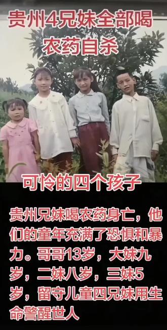 是什么让这么小的他们结束了自己的生命#贵州四兄妹悲剧