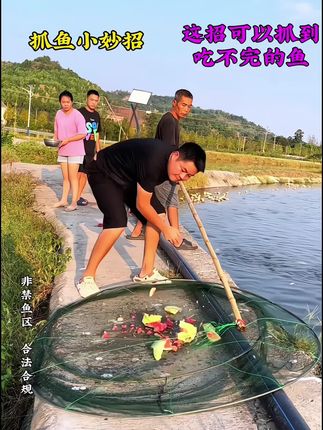 有了这个抬网,天天有鱼吃了#抬网 #折叠抬网搬网让你捕鱼更轻松 #爱生活爱钓鱼 #真实户外 #我的乡村生活