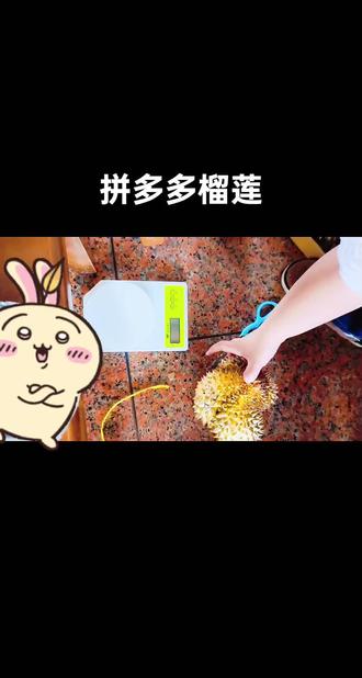 拼多多60块买的榴莲,迫不及待开了,出肉率37%还不错还不错,香的来。好吃好吃!鸡丝干包!#榴莲 #榴莲盲盒 #榴莲肉 #拼多多