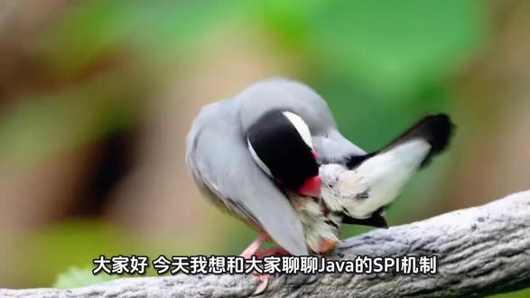 java的SPI机制