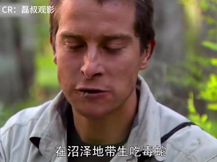 跟着贝爷旅行,今天我们来到,荒野沼泽 #贝爷 #荒野求生