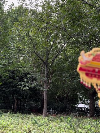 这就是外国人永远理解不了的,独属于中国人的浪漫,这一刻如果信仰有颜色,那一定是中国红!#致敬 #爱国 #中国红 #五星红旗#九一八勿忘国耻
