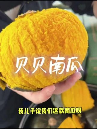 一般人真的买不到粉糯香面的贝贝南瓜,喜欢吃贝贝南瓜的姐姐一定要认准原产地#贝贝南瓜 #南瓜的神仙吃法 #优质农产品 #贝贝南瓜怎么做好吃 #快来一起尝个鲜
