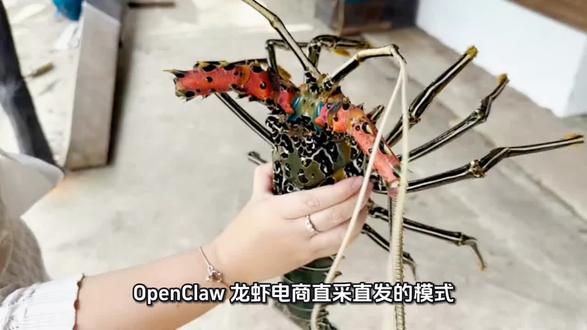 openclaw 龙虾之电商赋能应用#抖音养虾人俱乐部 #openclaw #实用冷知识