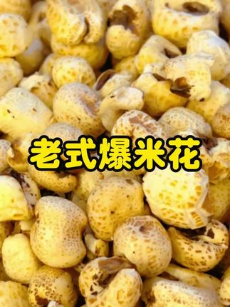 #老式爆米花 砰!一声唤醒童年!老式爆米花,藏着记忆里的焦香甜!#零食推荐 #追剧小零食 #儿时记忆 #好吃到停不下来
