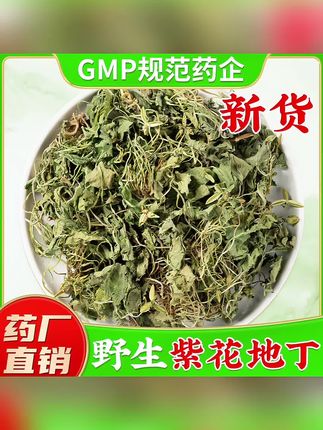 野生紫花地丁正品新鲜干货地丁草犁头草紫花地丁茶#紫花地丁 #紫花地丁又名犁头草 #犁头草 #犁头草茶 #紫花地丁茶
