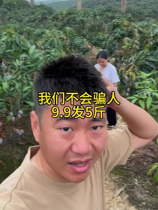 #贵妃芒