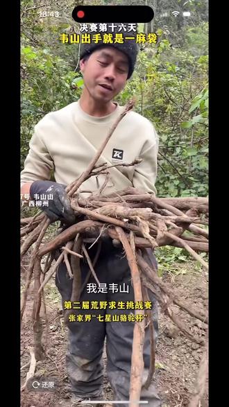 韦山,归途(违规)组合同框挖葛根