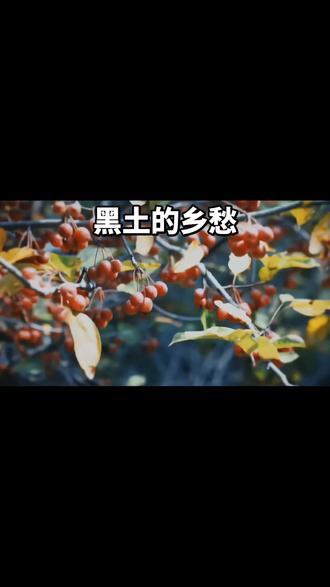 黑土的乡愁#拒绝废话#科普#冷知识#省流 #拒绝废话#科普#冷知识#省流 #冷知识科普 #每天分享科普知识