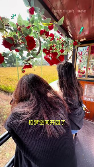 稻梦空间开园了,预售合适#稻梦空间沈阳 #稻梦空间 #稻田风光美如画 #稻田风光 #亲子遛娃好去处
