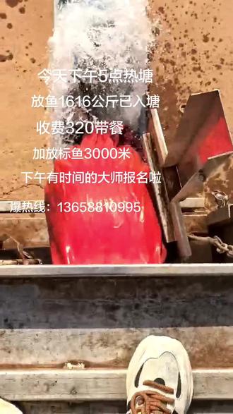 各位大师们约着来过瘾啦#钓鱼人