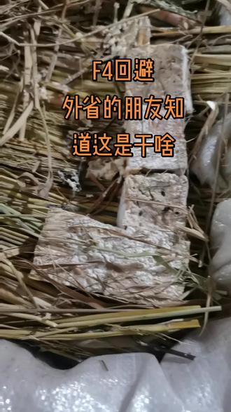 舌尖上的菜谱#这口家乡年货才是年味顶配 #梅豆腐#分享家乡美食