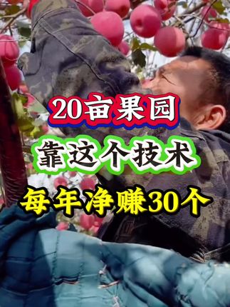 20亩果园靠这个技术每年狂赚30个 #果树种植 #果树管理 #果树 #果园管理 #病虫害防治