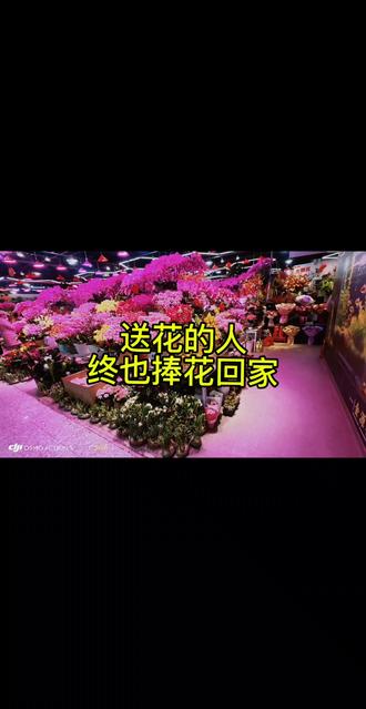 今天送了一天的鲜花,
见证了别人的浪漫、惊喜和爱意。
送花的人,好像总在成全别人。
回去之前的最后一单,走进花店,
我也给自己最爱的人买了花。#闪送 #闪送骑士日记 #情人节 @闪送官方账号