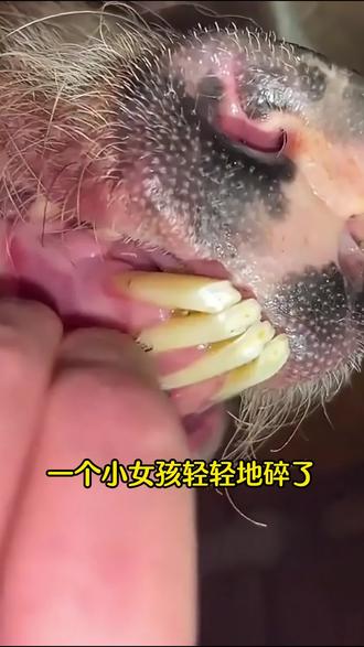 #青年创作者扶持计划 四种常见病,中翳替你调!#变美小技巧 #抖出健康知识宝藏